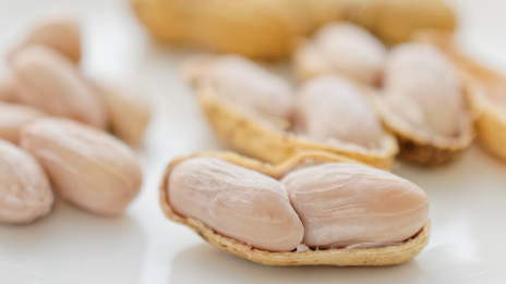 ジャンボ落花生