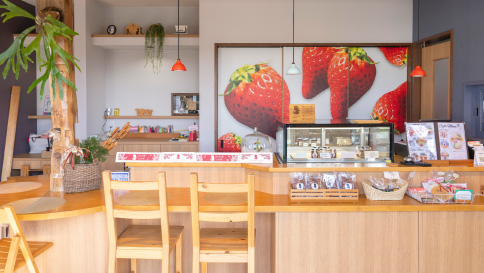 ショップギャラリー2