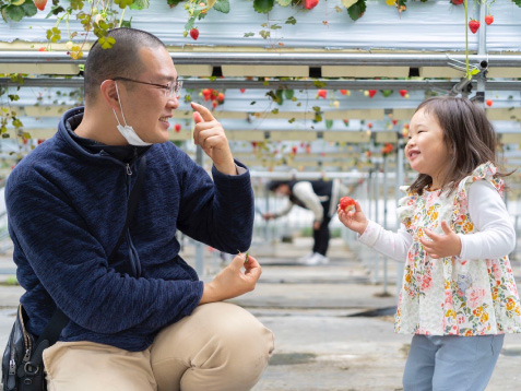 いちご狩り5