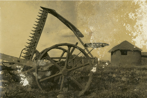 フォトギャラリー1