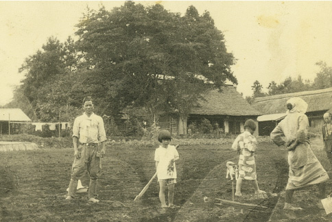 フォトギャラリー2