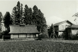 フォトギャラリー4