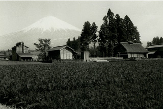 フォトギャラリー5