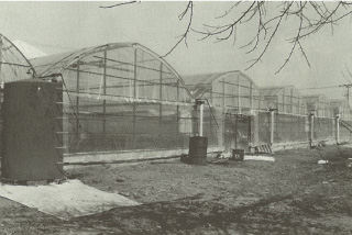 フォトギャラリー8