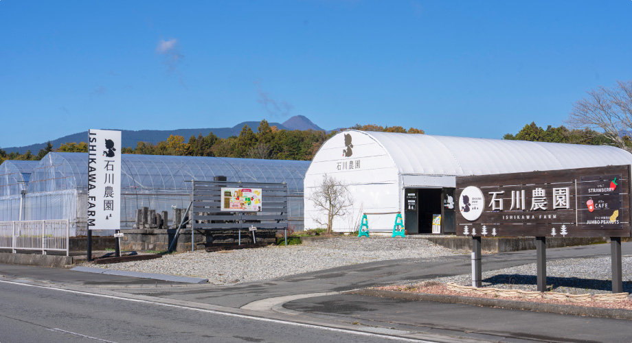 わたしたちについて