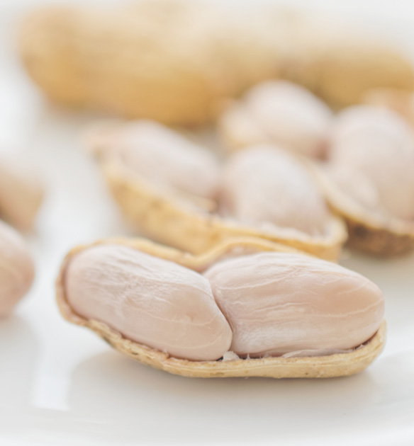 ジャンボ落花生について