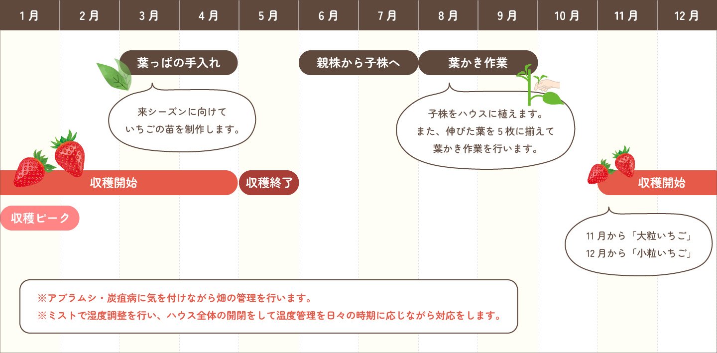 収穫カレンダー