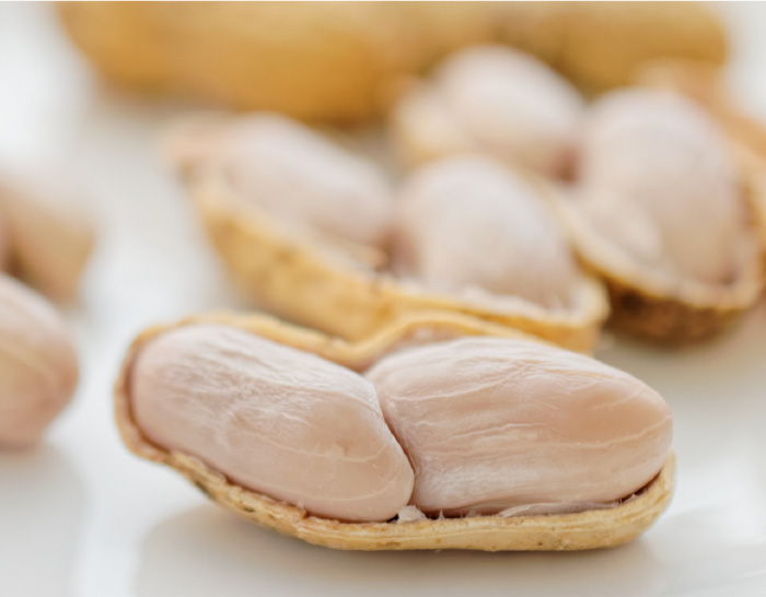 ジャンボ落花生について